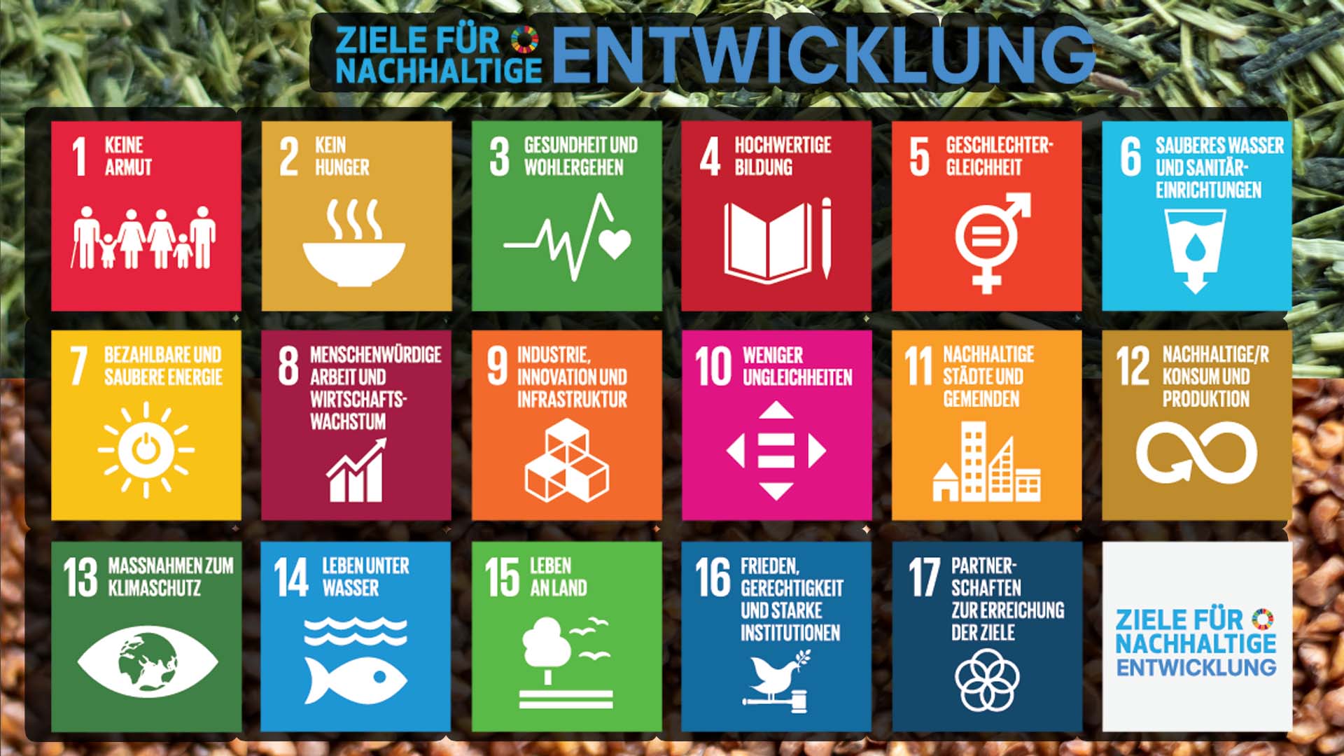 Eine Grafik zeigt 17 Ziele für eine nachhaltige Entwicklung hin zur Nachhaltigkeit.