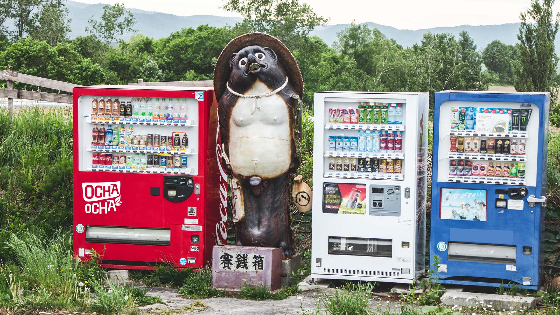 Getränkeautomat in Japan Hokkaido mit Ocha-Ocha Logo