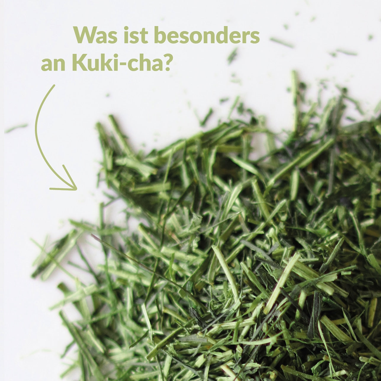 was ist an kuki-cha besonders? grüntee kuki cha wird gezeigt