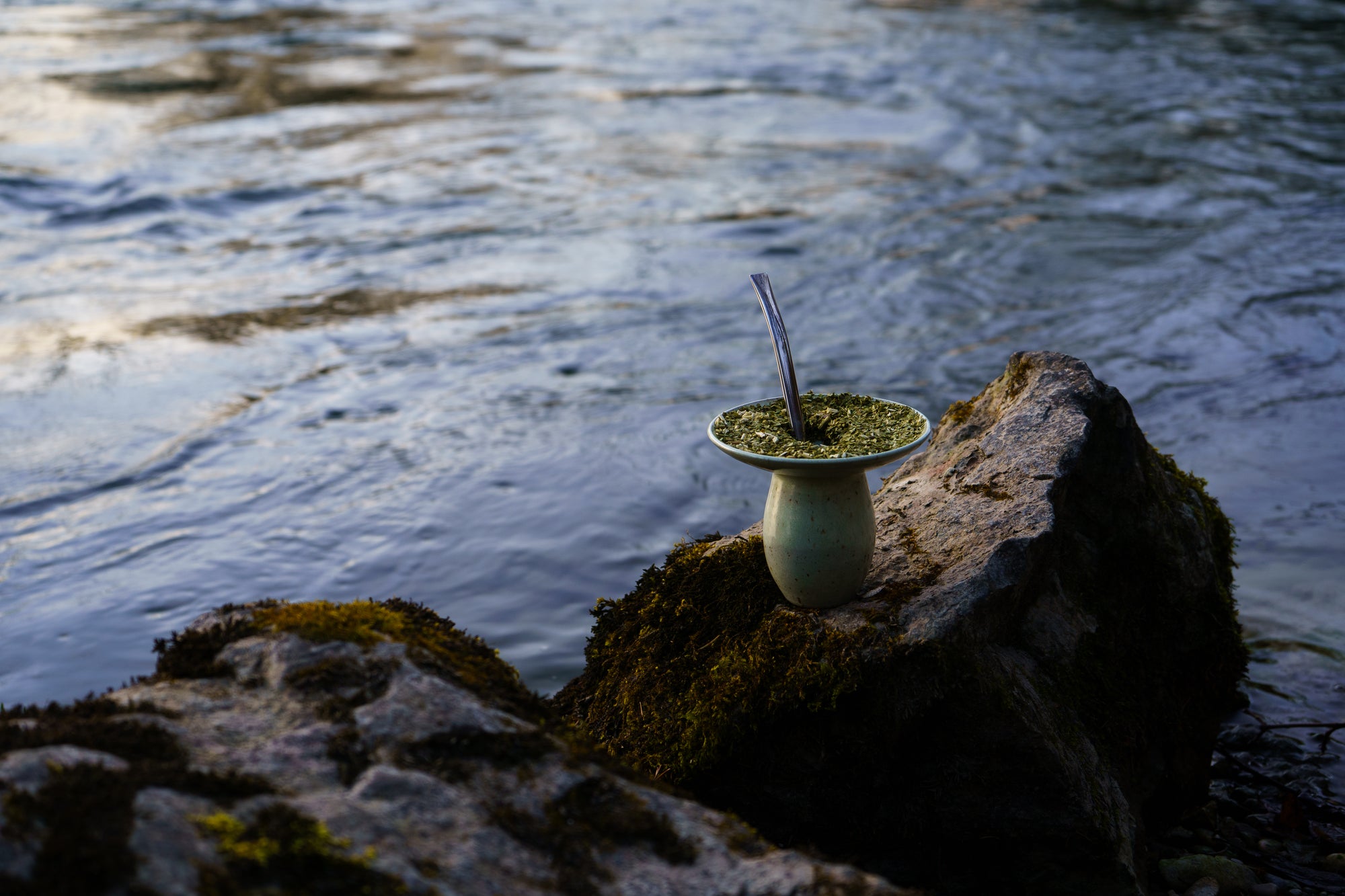Natürliche Hydration: Wie Pflanzenintelligenz modernes Trinken inspiriert